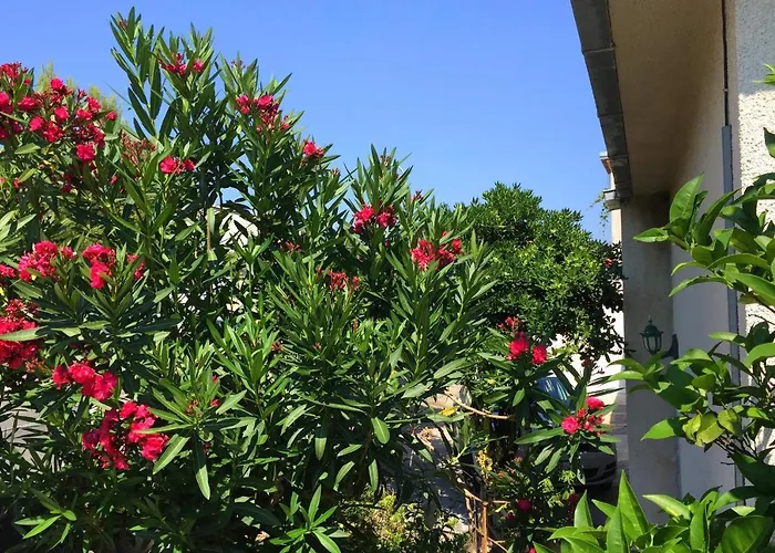 By The Sea Orebic, Peljesac - 11450