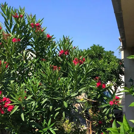 By The Sea Orebic, Peljesac - 11450