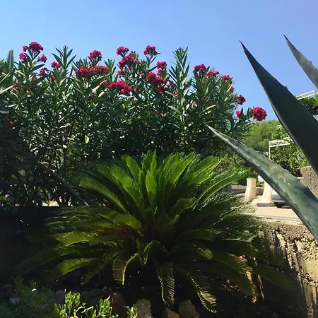 Daire By The Sea Orebic, Peljesac - 11450 Orebić