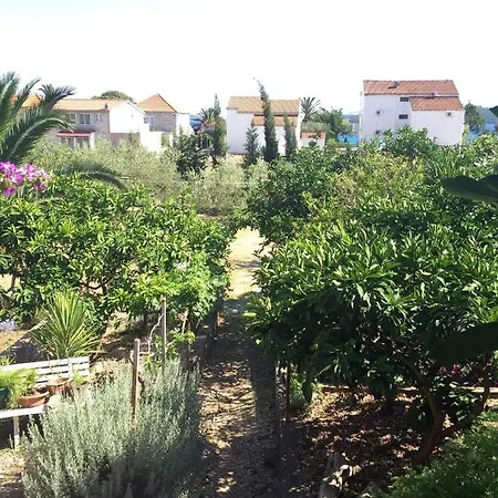 Daire By The Sea Orebic, Peljesac - 11450 *