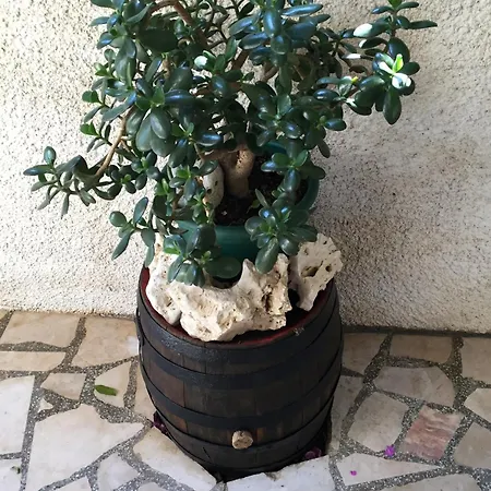 By The Sea Orebic, Peljesac - 11450 Daire *