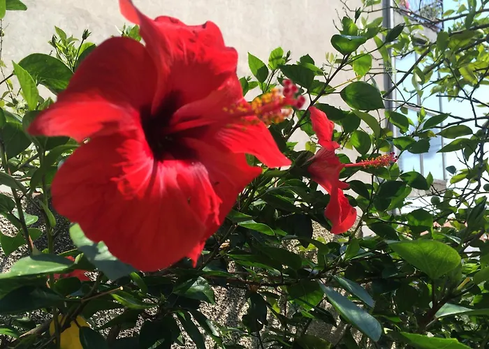 By The Sea Orebic, Peljesac - 11450 Apartament *