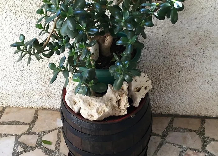 By The Sea Orebic, Peljesac - 11450 Apartament *